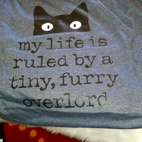 Instant Message Tops - Top😺"My life ...tiny, furry, overlord" 😺tee shirt blouse